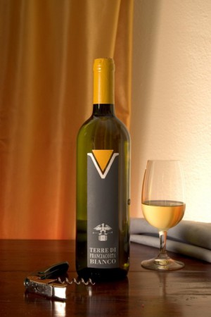 05. CURTEFRANCA BIANCO D.O.C. 